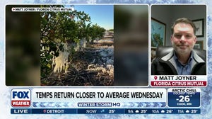 Executive Vice President and CEO of Florida Citrus Mutual Matt Joyner joins FOX Weather to discuss record cold threatening citrus yields