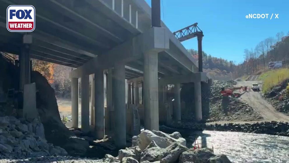 A plethora of bat species will not have the opportunity to thrive and live safely with a unique new creation.