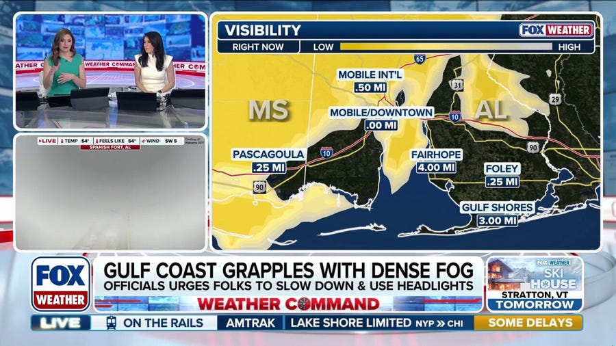 Gulf coast grapples with near-zero visibility as major crash shuts down critical interstate