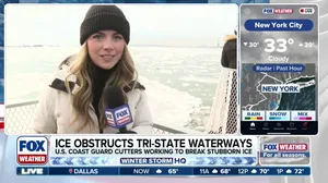 Ice disrupts ferry service in New York as temperatures rise above freezing