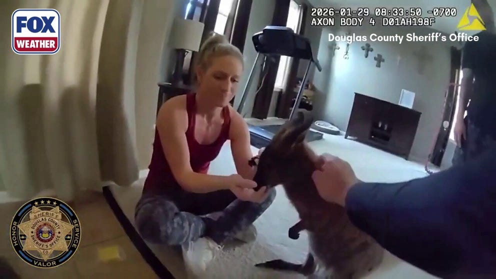 Douglas County Sheriff's deputies responded to a unique call at the end of January of a wallaby on the run in a neighborhood. Body camera video shows the officers and owners chatting about Charlie the wallaby and petting the animal. 