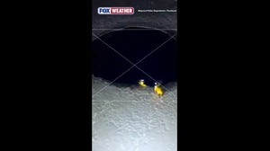 Massachusetts firefighters rescue a dog from frozen pond.