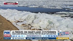 Freezing temps puts Maryland oyster harvest on hold