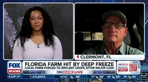 Florida farms buried in ice amid freezing temperatures 