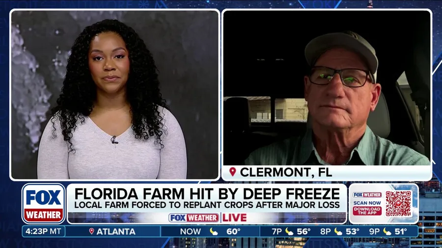 Florida farms buried in ice amid freezing temperatures 