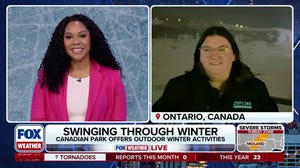 A frozen Niagara Falls attracts tourists