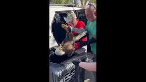 Injured bald eagle rescued on Presidents Day