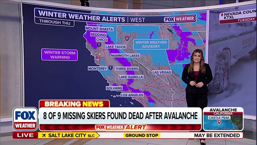 Eight skiers found dead after powerful avalanche