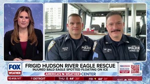 NYPD officers talk rescuing injured bald eagle from icy Hudson River
