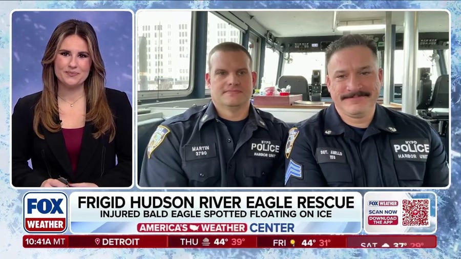 NYPD officers talk rescuing injured bald eagle from icy Hudson River