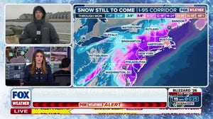 New York City issues full travel ban ahead of major historic nor'easter threat 