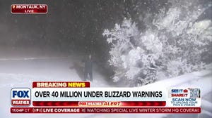 Blizzard-like conditions cause low visibility in Long Island
