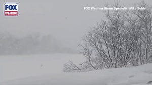 Watch: Scenes around Montauk show impacts of blizzard
