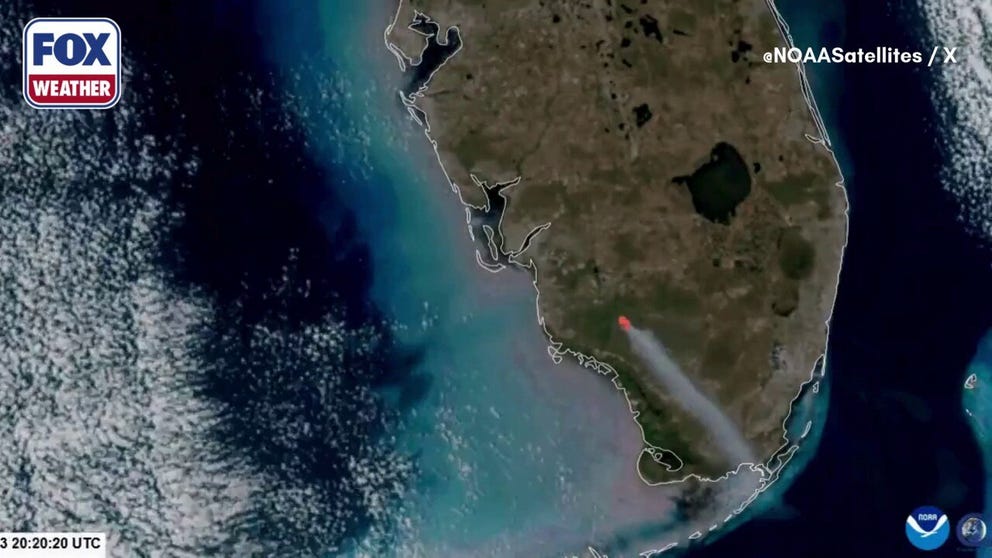 Satellite footage from the National Oceanic and Atmospheric Administration shows the National Wildfire exploding in strength in South Florida. The flames began in the Big Cypress National Preserve.