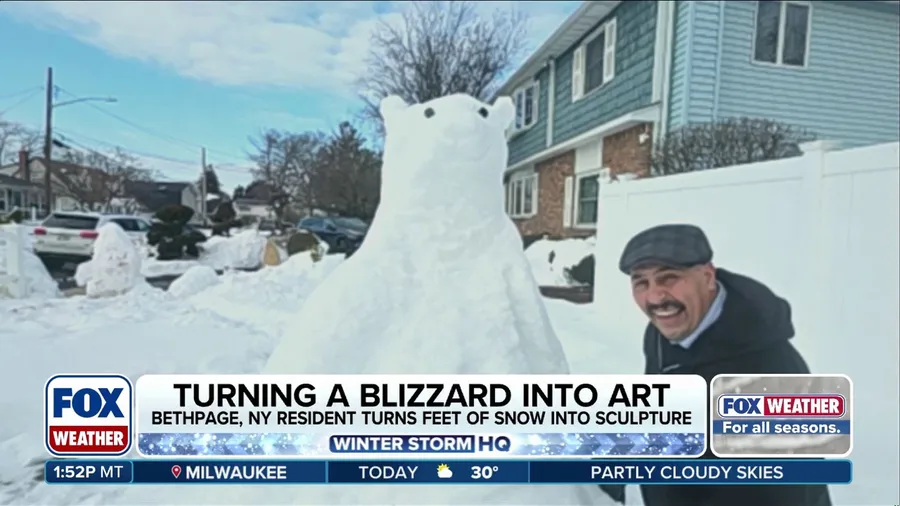 Long Island man turns a blizzard into art