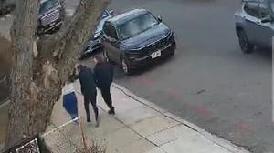 Massive falling tree nearly strikes trio walking on Brooklyn sidewalk