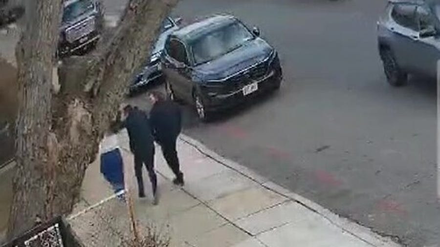 Massive falling tree nearly strikes trio walking on Brooklyn sidewalk