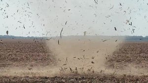 Dust devil spins 'cornado' in Mississippi field