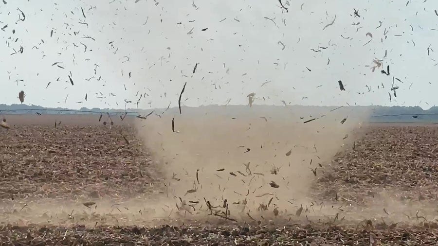 Dust devil spins 'cornado' in Mississippi field