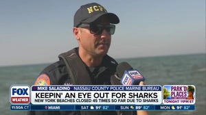 Dangers of the Deep: Tracking Sharks on the New York coast