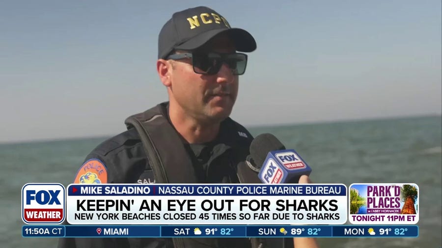 Dangers of the Deep: Tracking Sharks on the New York coast