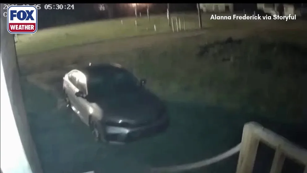 Residents across parts of Louisiana were rattled by a magnitude 4.9 earthquake on March 5. This is security camera video from Coushatta near the epicenter. The USGS said it had received more than 1,100 reports of shaking as far north as Shreveport, along with some in southern Arkansas and western Texas. 