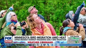 Upper Midwest heat impacting Minnesota bird migration 