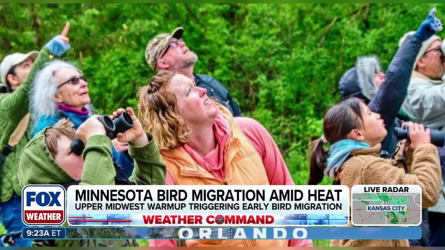 Upper Midwest heat impacting Minnesota bird migration
