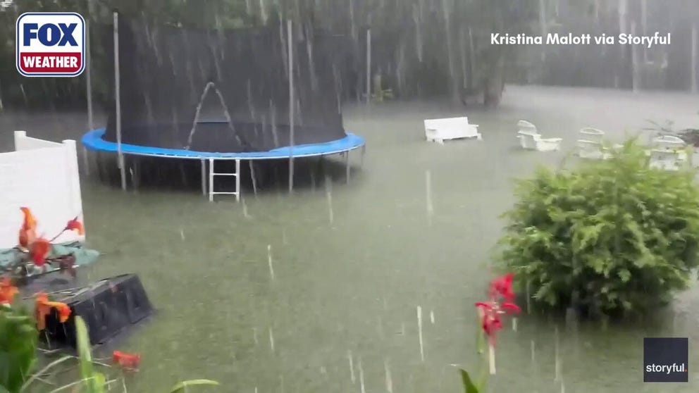 TRAGIC: Due to persistent heavy rain in Mississippi, which has resulted in heavy flooding, a resident's chickens in a backyard drowned.
