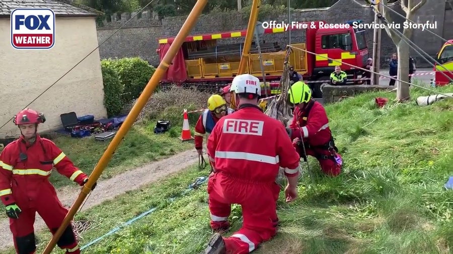 Watch: Dog rescued after falling into nearly 40-foot hole in Ireland