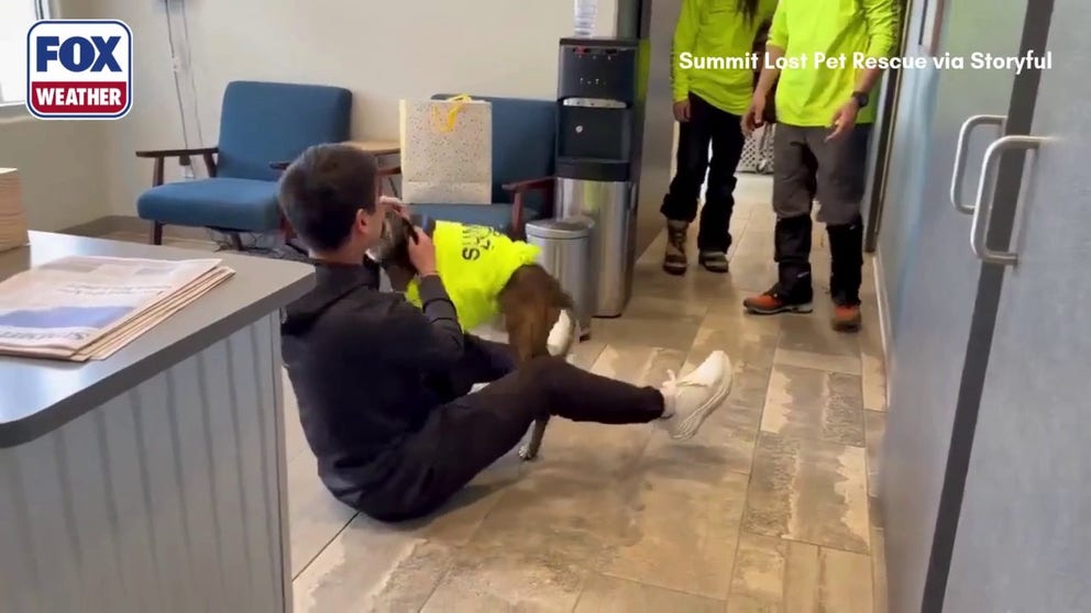 After surviving 43 days alone in the wilderness of Summit County, Colorado, a dog named Rocky was reunited with his owner on Feb 13. Video captures the heartwarming moment as Rocky jumps and knocks his owner down in joy, smothering him with kisses. 
