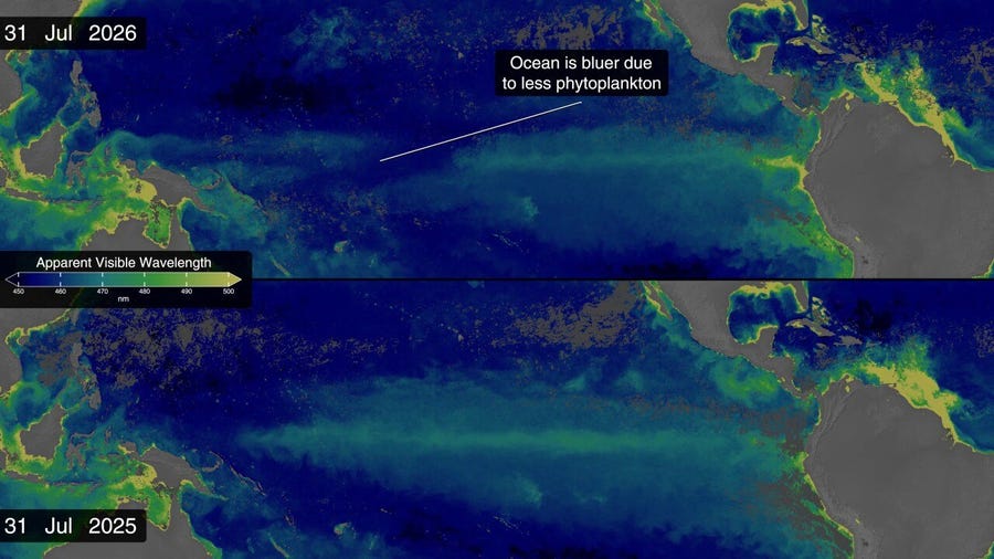 NASA images reveal unusual Pacific Ocean color shift amid strengthening El Niño