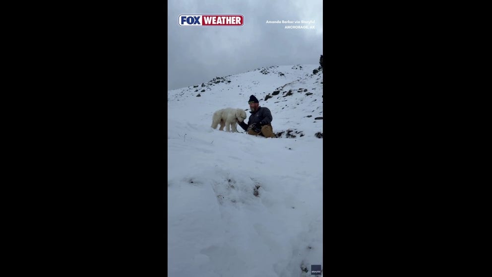A dog was missing for two days in Anchorage, Alaska, following an avalanche. She was found alive by rescuers after 50 hours of searching.