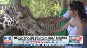 Beach house brunch: FOX Weather Meteorologist Marissa Torres explores all that makes the Gulf Shores area great