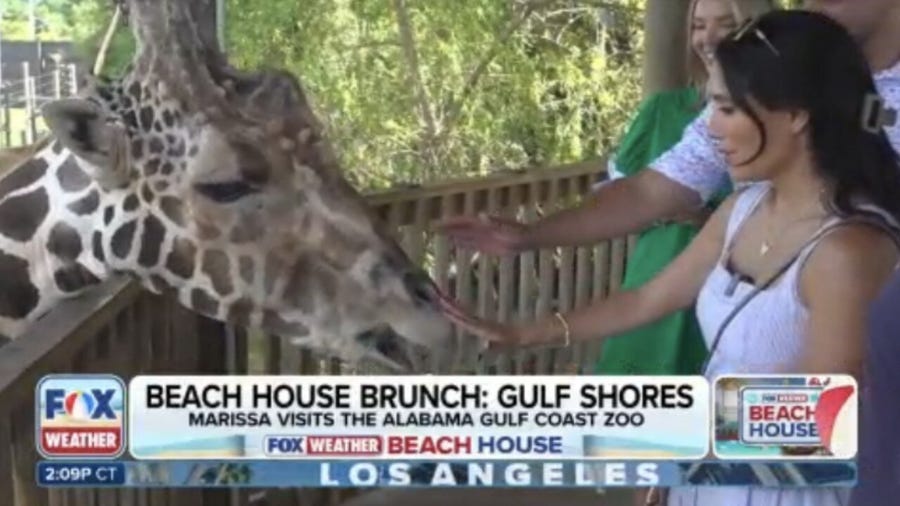 Beach house brunch: FOX Weather Meteorologist Marissa Torres explores all that makes the Gulf Shores area great