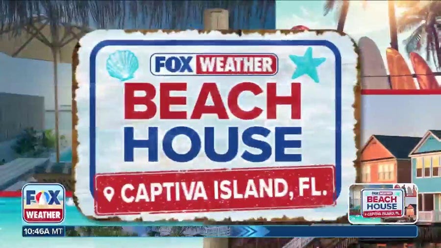 Wildlife recovery after impact of Florida hurricanes