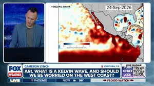 What is a Kelvin Wave? 