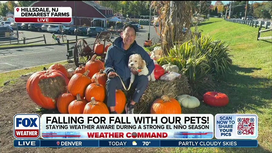Here are tips to keep in mind while caring for your pets this fall