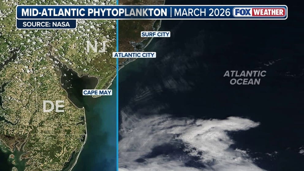 Satellite imagery shows the before and after view of phytoplankton blooms on the Mid-Atlantic coast. The first image is from March 2026 and the second image shows conditions two months later.