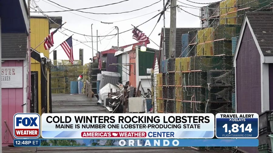 Cold winter rocks the Northeast lobster industry