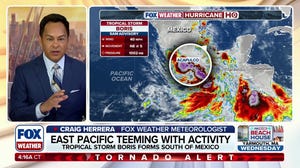 Tropical Storm Boris forms in the Eastern Pacific just off Southern Mexico