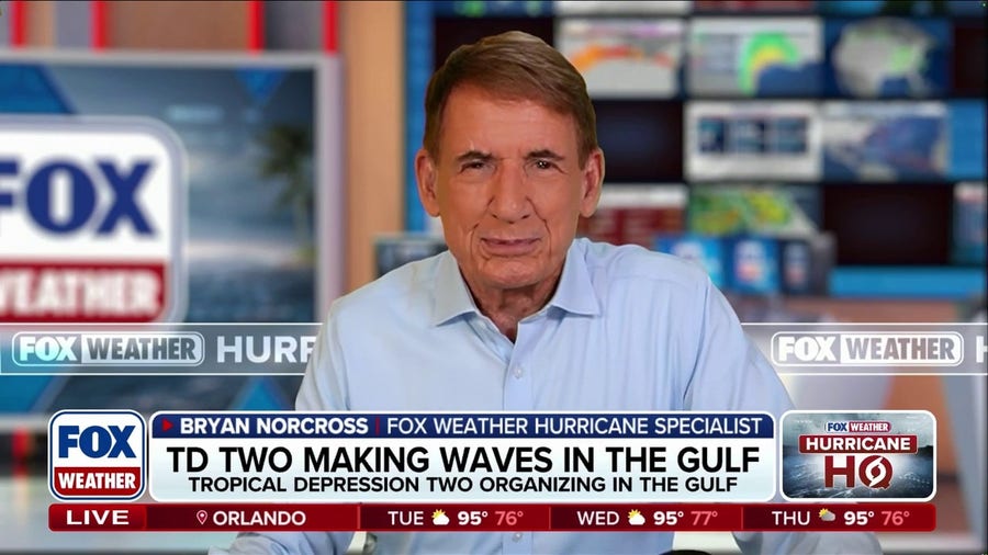 Bryan Norcross provides analysis on when Tropical Depression Two will strengthen into Bertha