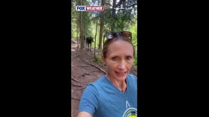 Woman stalked by two moose while hiking in Colorado