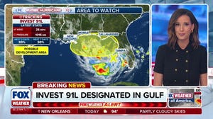 National Hurricane Center designates 91L over the Gulf