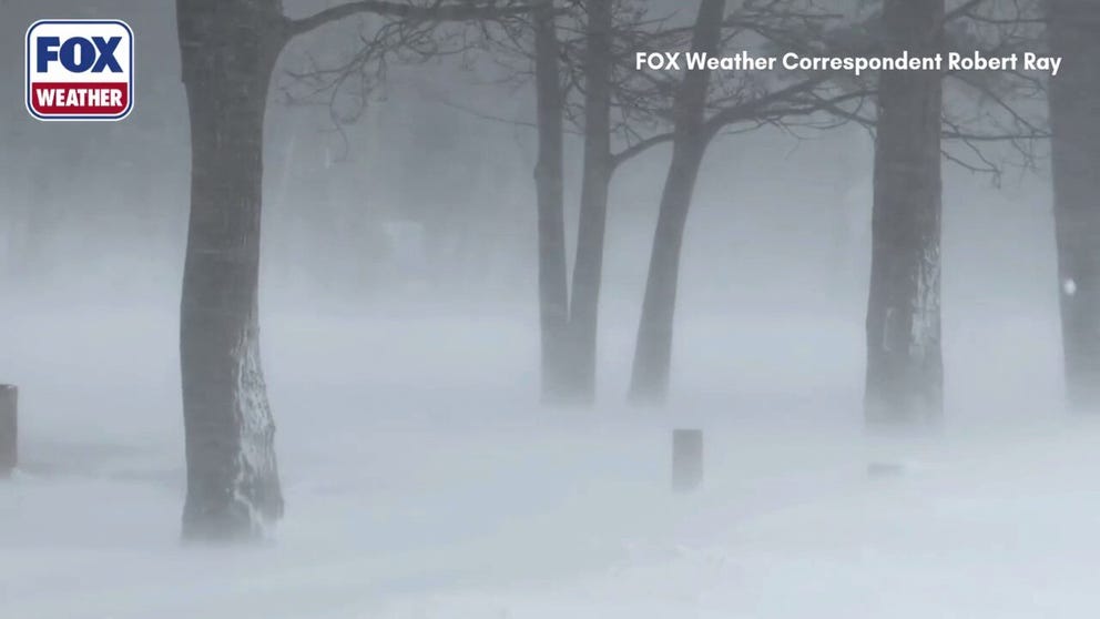 FOX Weather Correspondent Robert Ray captured this video of howling wind gusts and blinding snow that slammed Marquette, Michigan, Sunday.