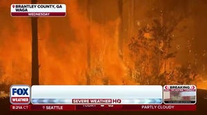 Nearly 90 homes destroyed and more than 5,000 acres burned during ongoing wildfires in Georgia 