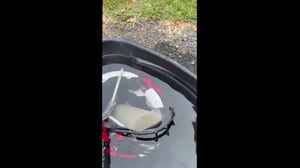 Venomous snake hides inside a football helmet in Arkansas