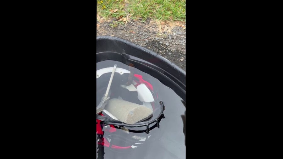 Venomous snake hides inside a football helmet in Arkansas