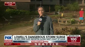 Damage left behind in Hawaii after Hurricane Lowell makes rare direct hit