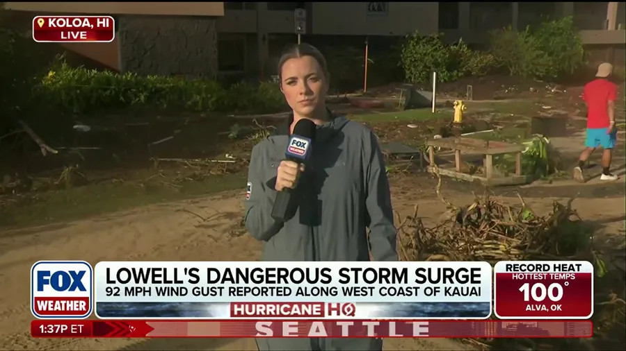 Damage left behind in Hawaii after Hurricane Lowell makes rare direct hit